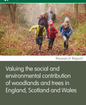 Valuing the Social and Environmental Contribution of Woodlands and Trees in England, Scotland and Wales: Research Report